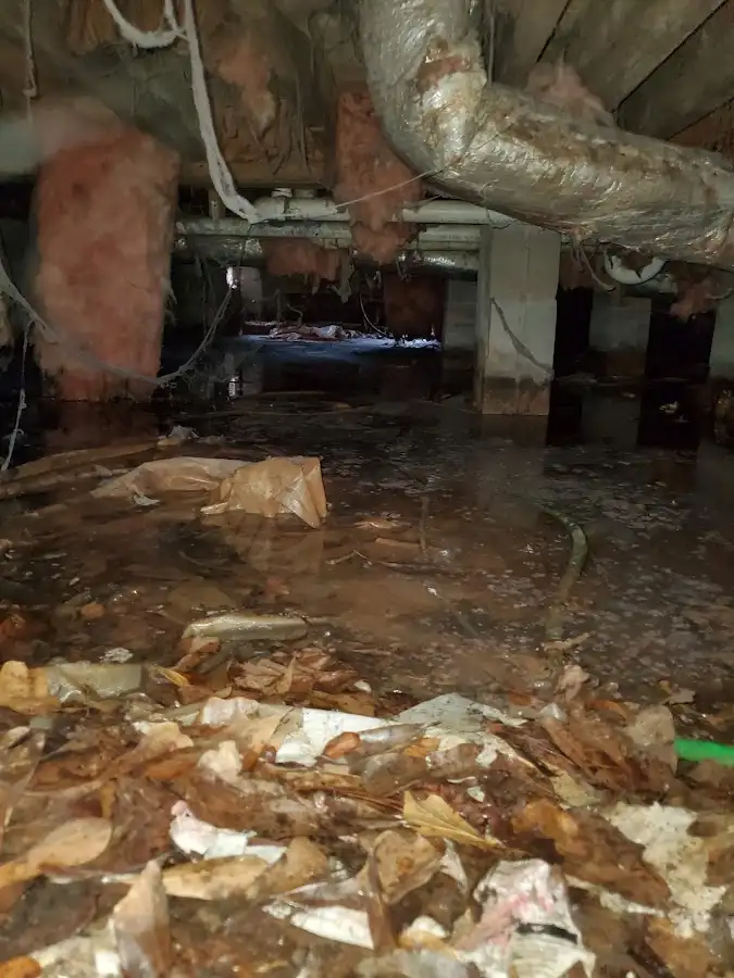 Crawl space flood assessment for Leak Detection & Repair in Merrill