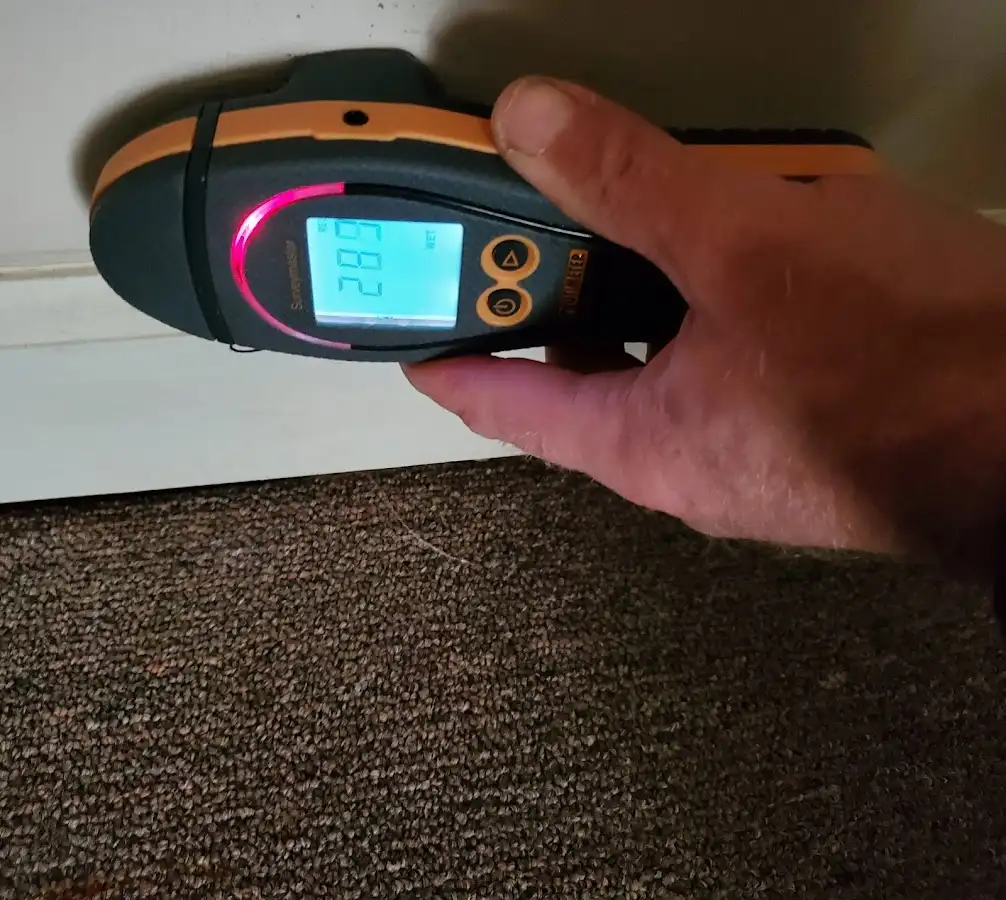 Moisture detection at baseboard during Sewage Cleanup & Sanitation in Merrill